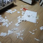 [댓글부탁해] 이<b>사진</b> 보면 <b>무슨</b>생각 듦