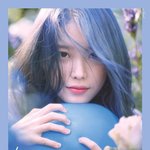 [댓글부탁해] <b>지역</b>마다 다르게 뽑은 아이유 콘서트 포스터