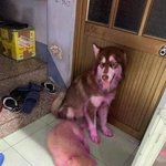 [모두드루와] 용과 <b>대참사</b>