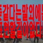 [NCT] 드림이들 콘서트
