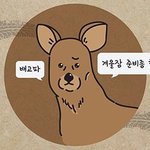 [이것좀봐줘] <b>증명</b>사진 찍어야 되는데