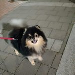 [드루와] <b>신전</b> 혼밥 ㄱㅊ지?