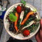 [내가한요리] <b>무명</b>요리사의 요리