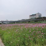 이럴거면  <b>오지</b>마세요