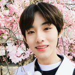 [댓글부탁해] 사실상 <b>NCT</b> 탈퇴한 멤버.JPG