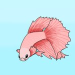 <b>베타</b>를 그려보았습니다