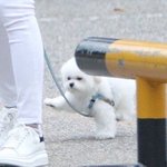 [드루와] 나 어떡할까