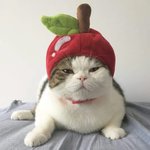 우리 <b>뚱이</b> 뭐할까