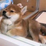 [드루와] 자존감이 진짜 높아야 하나봄