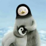 [드루와] 톡선에 급식실 <b>혼밥</b> 후기 봤는데