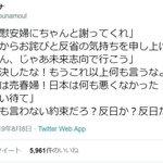 일본인이 분석한 <b>한일</b> 위안부 문제