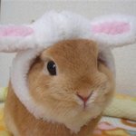 [드루와] ++)나만 <b>여고</b>ㄹㅇ개노잼이냐