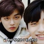 [TXT모아] 움짤좀줄래ㅠㅠ