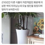 어이없어서 헛웃음 나옴