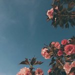 [솔직후기] 82년생 김지영 - 진짜 솔직한 후기