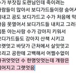 [<b>BL</b>] 웹툰 좀 찾아줘ㅠㅠ!