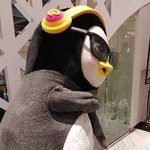 누가 <b>팬</b>싸에서 선글라스 껴냐