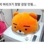 제발 추반좀 제발제발..ㅠ