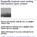 [댓글부탁해] 헐 신기해....