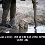 [댓글부탁해] 나 ㄹㅇ 진지하게 <b>전학</b>가보고싶음