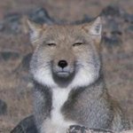 썸남이 맨날 <b>아재</b>개그 하는데