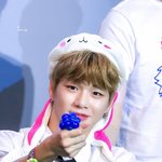 [강다니엘] <b>포도</b>알 ㅎㅇㅌ