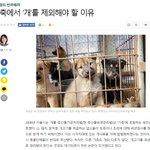 개고기가 사라지지 않는 이유는 "<b>개빠</b>"들의 역겨운 이중성 때문임.