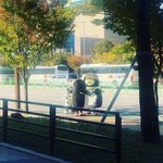 [댓글부탁해] A랑 A-중에 뭐가 더 <b>점수</b> 높음???