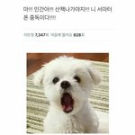 마!!!자야<b>지</b>!니 서마터<b>폰</b> 중독이다!!!!