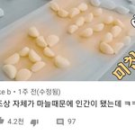 [모두드루와] 우리나라가 마늘의 <b>민족</b>인 이유
