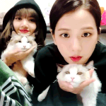 [블랙핑크] 쁘랑 <b>츄</b> 귀엽다 ㅋㅋㅋㅋ