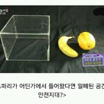 [모두드루와] 초파리가 생기는 이유 (충격<b>주의</b>)