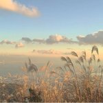 [댓글부탁해] 어제 처음본 사람한테 첫눈에 반했어 도와주라ㅠㅠ