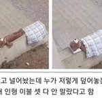 귀여운 <b>방해</b> ㅋㅋㅋㅋㅋ