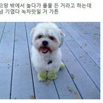 [댓글부탁해] 교정한지 얼마 안됐는데