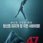 47m 2 <b>식인</b>상어