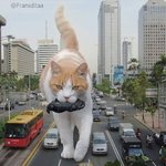 [댓글부탁해] 고3 <b>무단</b>결석 일주일차