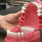 [댓글부탁해] 그알에 나온 <b>mc</b>몽 면제 이유