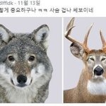 [댓글부탁해] <b>눈매</b>의 중요성
