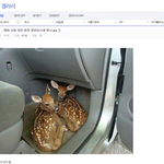 [모두드루와] 귀여운 <b>생명체</b> 좀 봐...