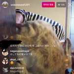 [드루와] 인스타에서 이거 <b>동물</b>학대 아니냐?