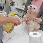 너무 긴 시간을 이용만 당한 <b>순진</b>이가 건강해지도록