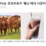 [댓글부탁해] <b>황소</b> 우유?????
