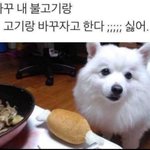 [19] <b>집데이트</b>