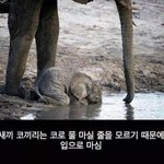 [댓글부탁해] 배우는 남자가 가수는 여자가 <b>롱런</b>하는듯