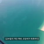 [모두드루와] 상상<b>초월</b>하는 두바이 갑부들