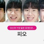 [댓글부탁해] 닮은꼴<b>찾기</b> ㅋㅋㅋㅋㅋ