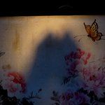 [<b>강</b>다니엘] <b>고양이</b> 마즘 (υ·•︠ܫ•︡ υ)