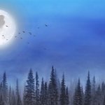 [강다니엘] 코룽<b>달님</b>한테 소원빌기 ( ｯ.• ︿•) ｯ *:･ﾟ...