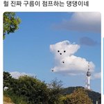 헐 귀엽다